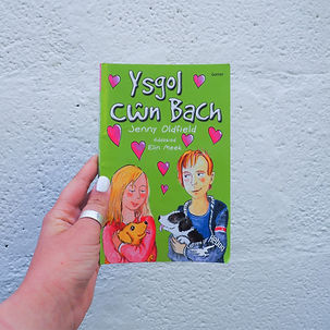 YsgolCwnBachA.jpg