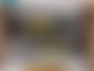 Lamborghini Stan Smith Shoes