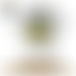 Get it before it's gone - this style is flying off the shelves!