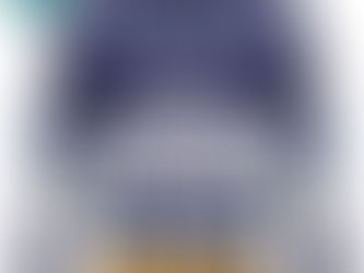 Show Me Your Busch Ugly Christmas Sweater