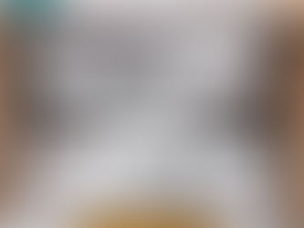 Michael Jackson Adidas Stan Smith Shoes