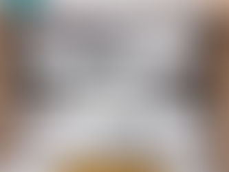 Lexus Stan Smith Shoes