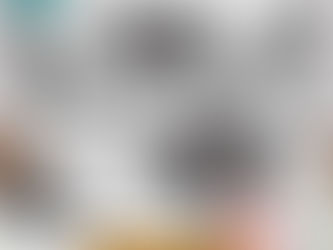 NFL Atlanta Falcons Stan Smith Shoes