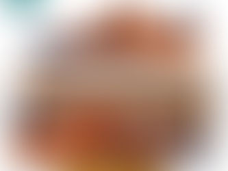 NFL Denver Broncos 3D Over Printed Stan Smith Shoes