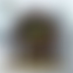 Get Festive with Ugly Christmas Sweater