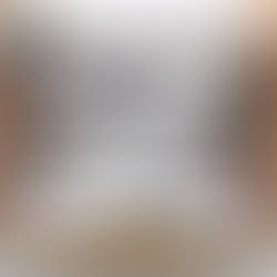 The Offspring Stan Smith Shoes