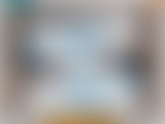 ABBA Adidas Stan Smith Shoes