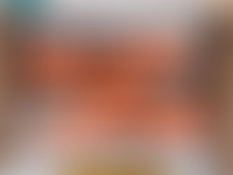 NFL Cincinnati Bengals Stan Smith Shoes