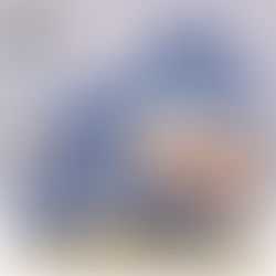 Custom Nike Air Jordan 1 Shoes - Skatepark Staple for Skaters