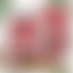 Sports Team Ugly Sweater - Signature Style Meets Holiday Cheer