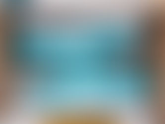 Liverpool FC Stan Smith Shoes