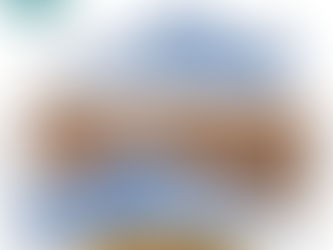 NFL Tennessee Titans Blue Stan Smith Shoes