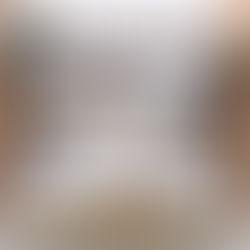 UPS Stan Smith Shoes