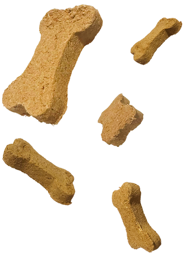 Boozehound Biscuits Falling