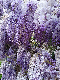 WhatsApp Image 2021-04-09 at 19.32.32.jp