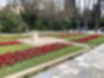 red flowers in a green garden