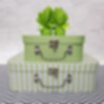 Happy Box Elefantinho Menta