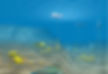 6a0133f2f3e9c6970b0162fc68f361970d-800wi