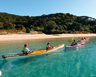 AK29-Bay-of-Islands-Northland-Adventure-HQ.jpg