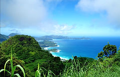 IMG_20200112_072151.jpg