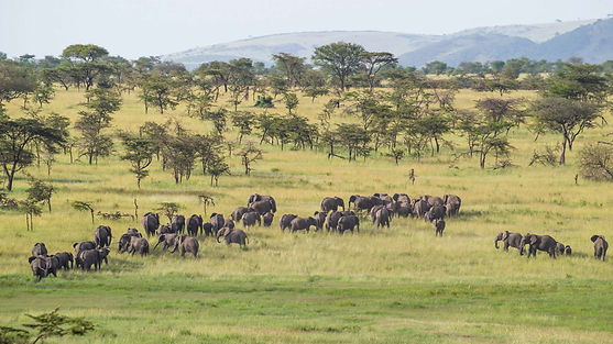 packages-8days-treasures-of-tanzania.jpg