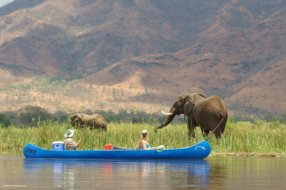 Absolute Zambia Safaris 贊比亞