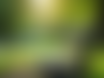 Understanding the Journey to Genuine Connections