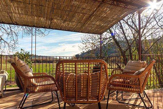 Le spot parfait pour un café du matin face aux chevaux