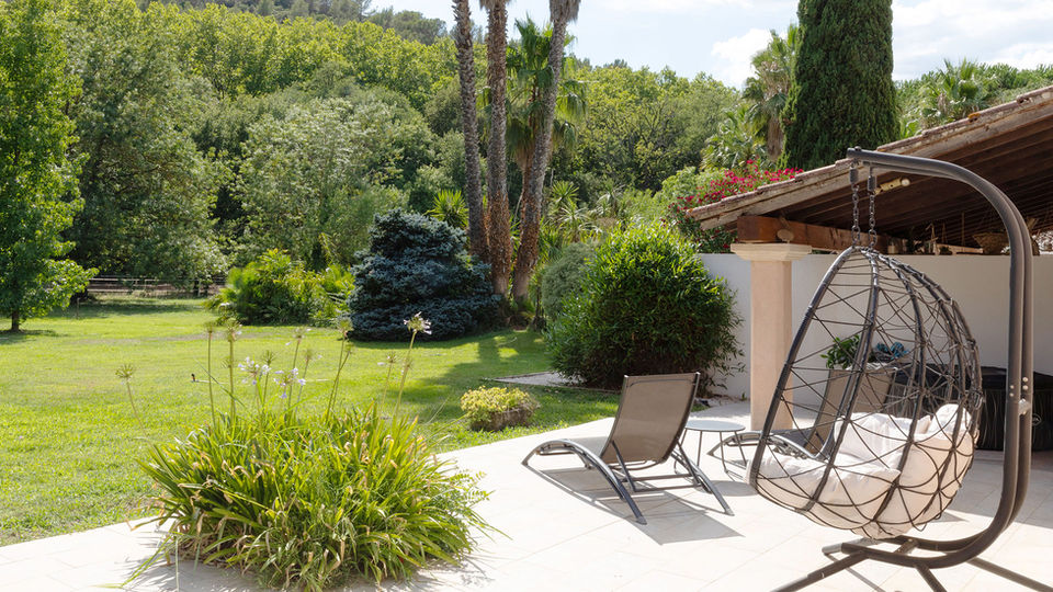 Vue sur la nature verdoyante sur les chevaux