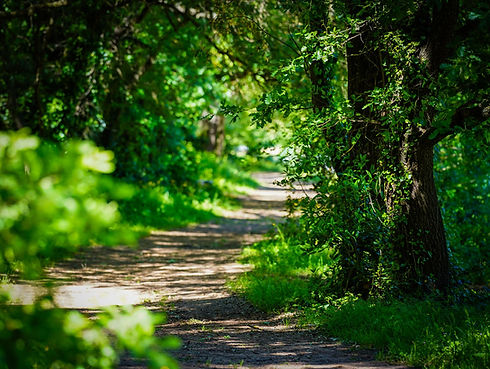loveroomvar - ecurie hyeres - nature - en famille