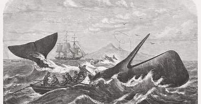 pasted image 0 (3).png