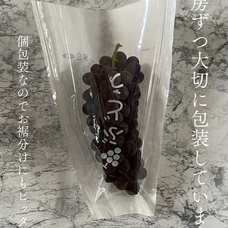 ふるさと納税の受付スタート