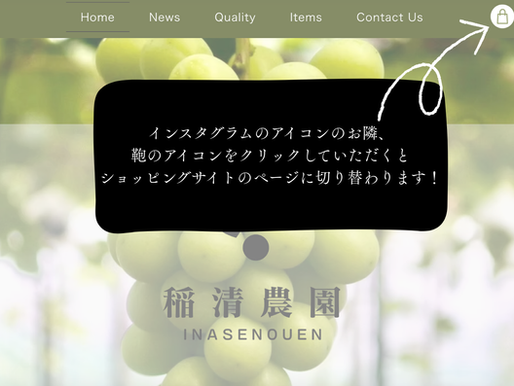 オンラインショップを開設しました
