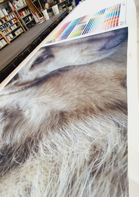 20230109_130407 (1).jpg