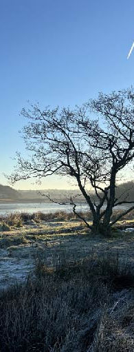 estuary-winter.jpg