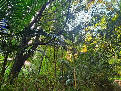 20250806_160808_edited.jpg