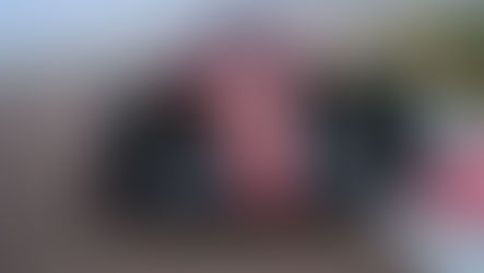 Divebomb's 2022 Formula 1 Predictions: Tanishka Vashee