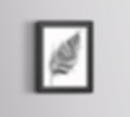 Feather-2-Framed