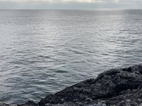 Dolphins diving on Antrim Coast near Channel Vista