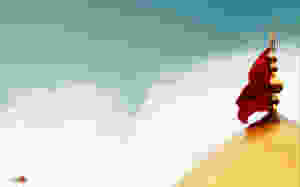 00116c64_medium.jpeg