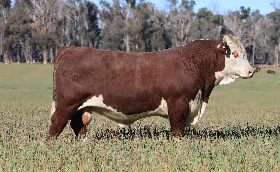 Lot 35 - $6000