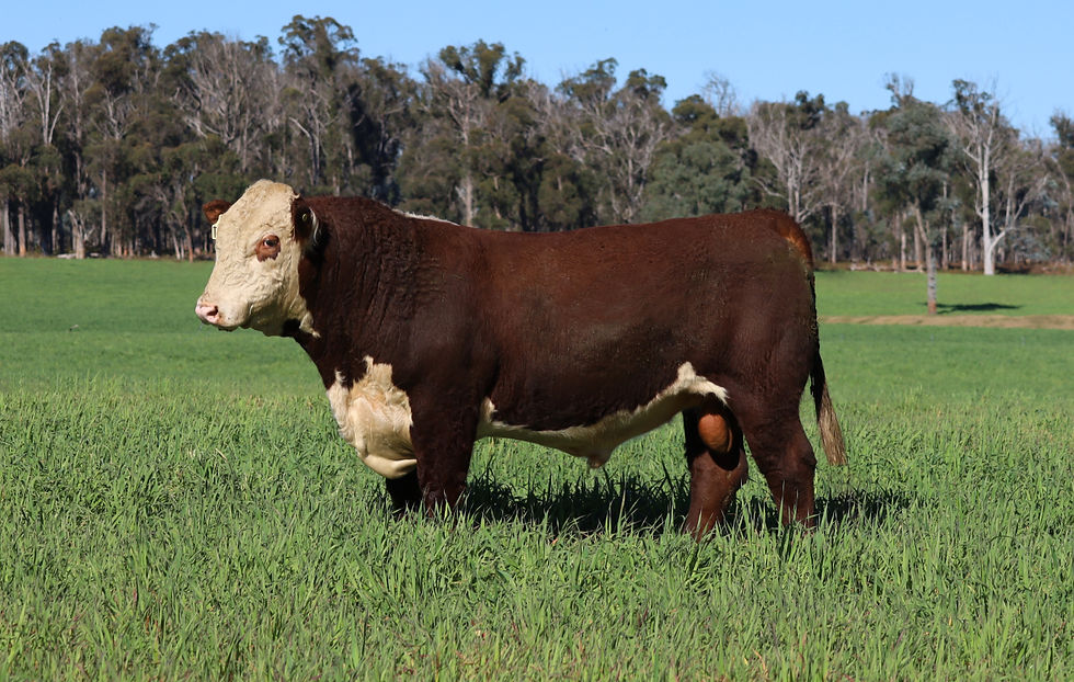 Lot 2 - $16000