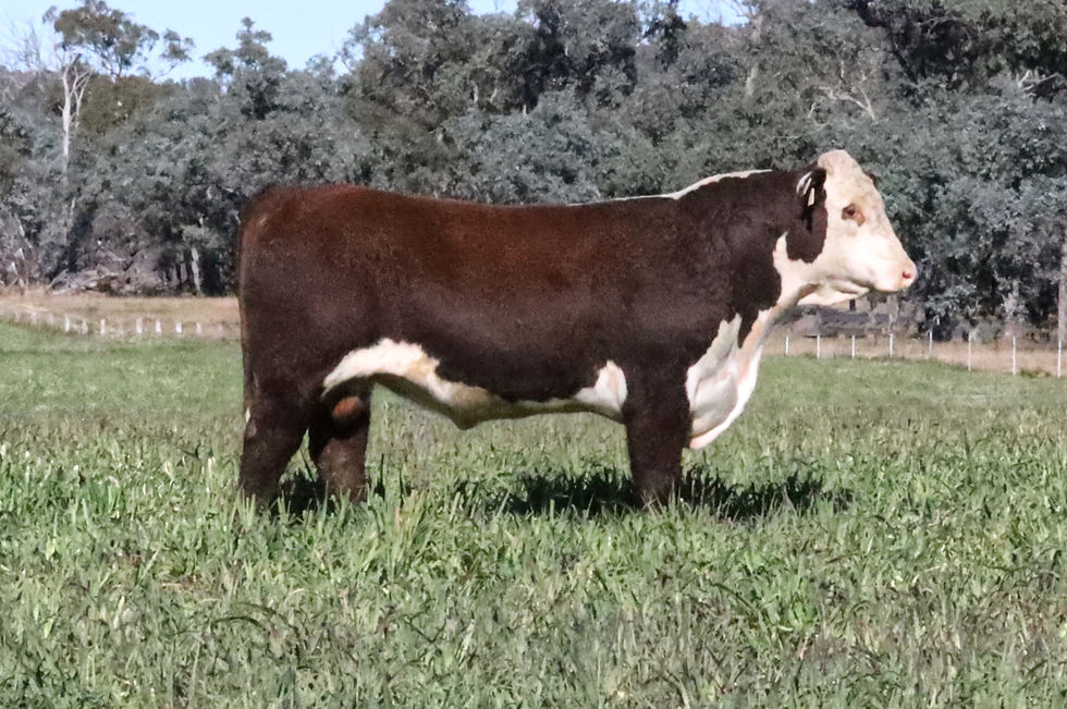 Lot 22 - $6000
