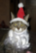 ree