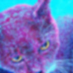 ree