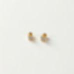 Sparkling Gold Studs