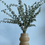 Thumbnail: MIDJA VASE
