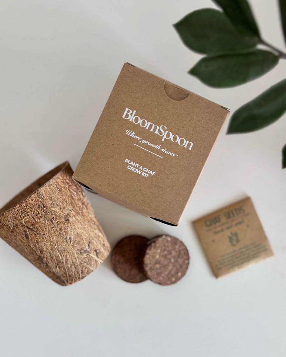 Thumbnail: ghaf tree uae dubai