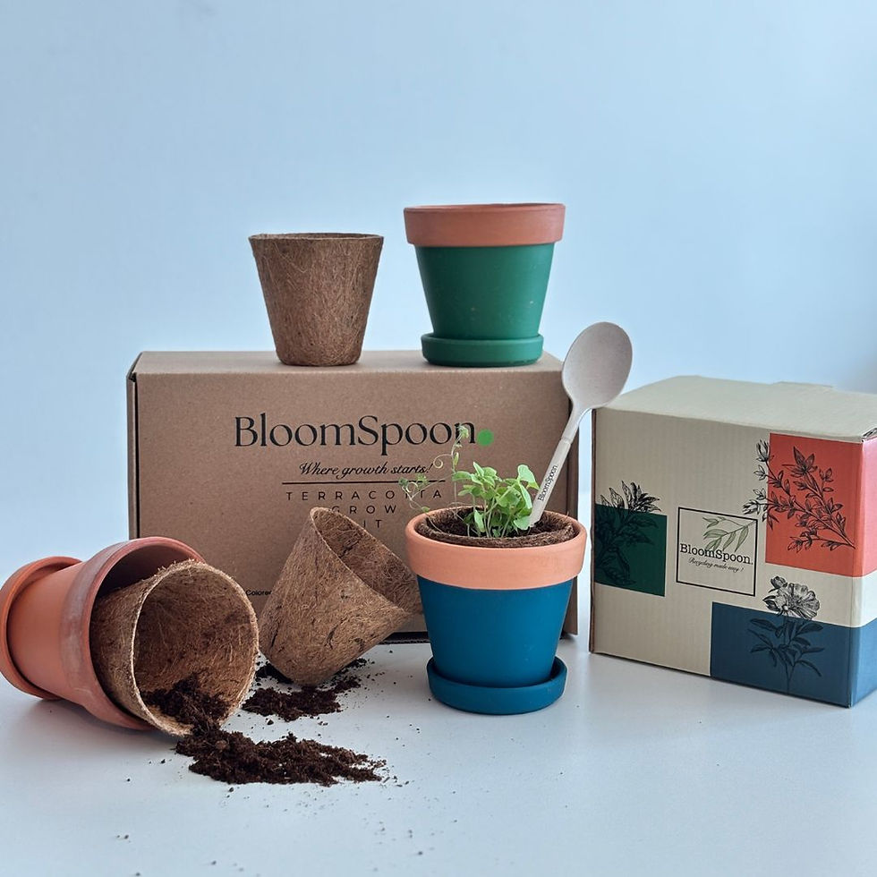 Thumbnail: grow kit uae dubai bloomspoon eco-friendly products store
