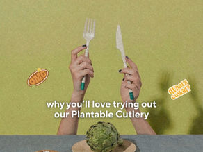 Where to Buy Eco-Friendly Disposable Cutlery & Products in the UAE: A Practical Guide for Events, Restaurants and Everyday Use